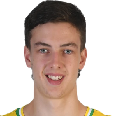 帕特里克·瑞安